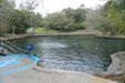 Wekiva Spring